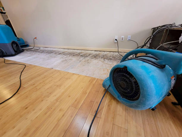 Reliable Basement Flood Cleanup contractor in Kinston, NC by Hirex Water Damage