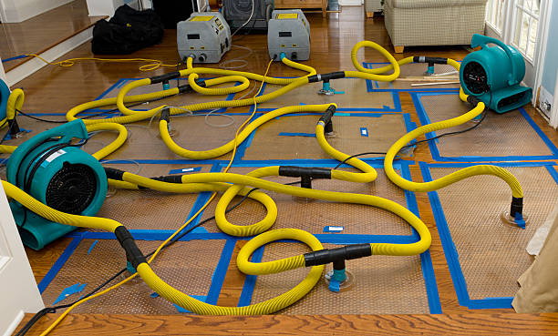 Professional Basement Flood Cleanup technician working in Kinston, NC